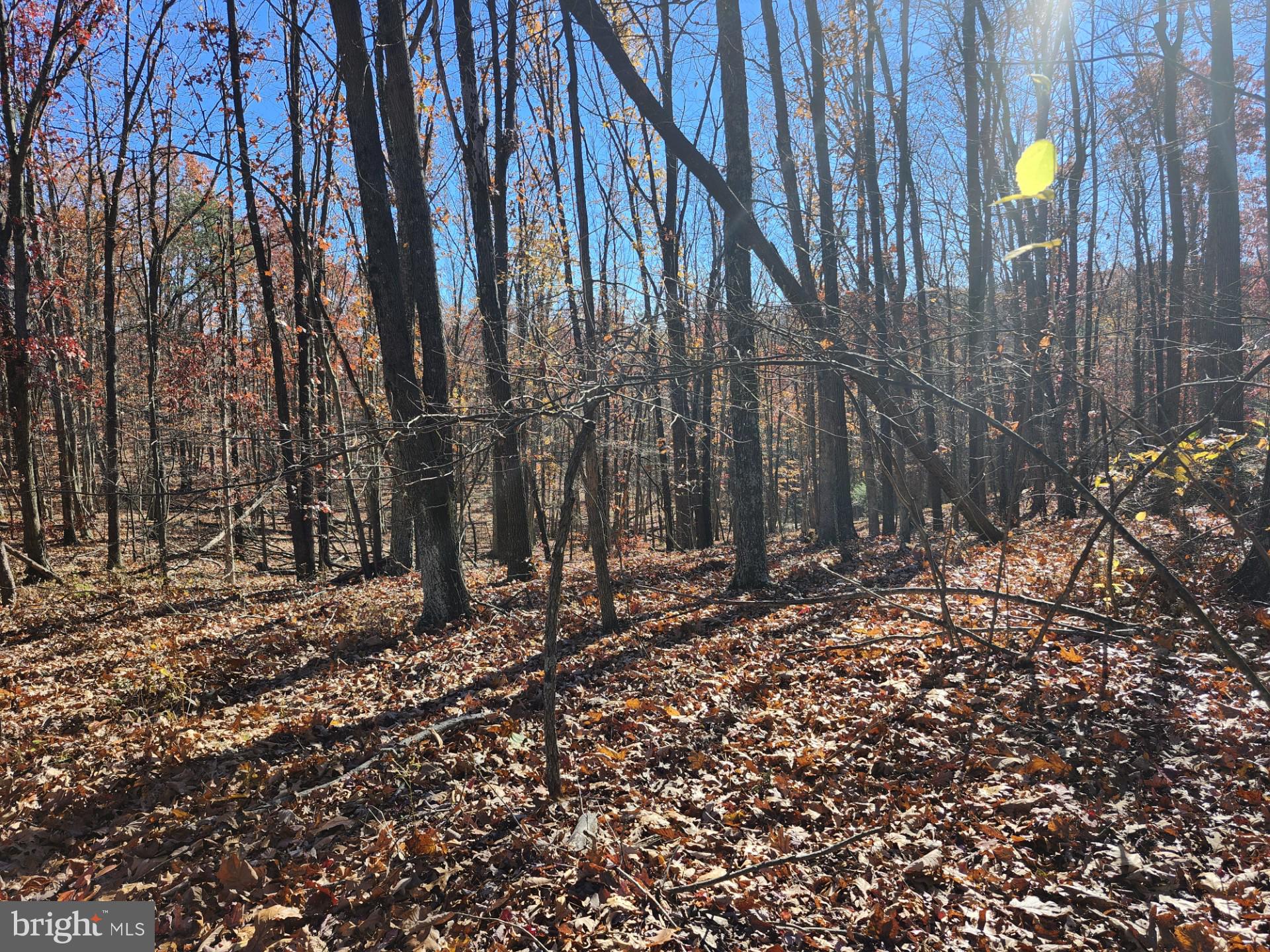 NORTH RIVER WILDERNESS - Land