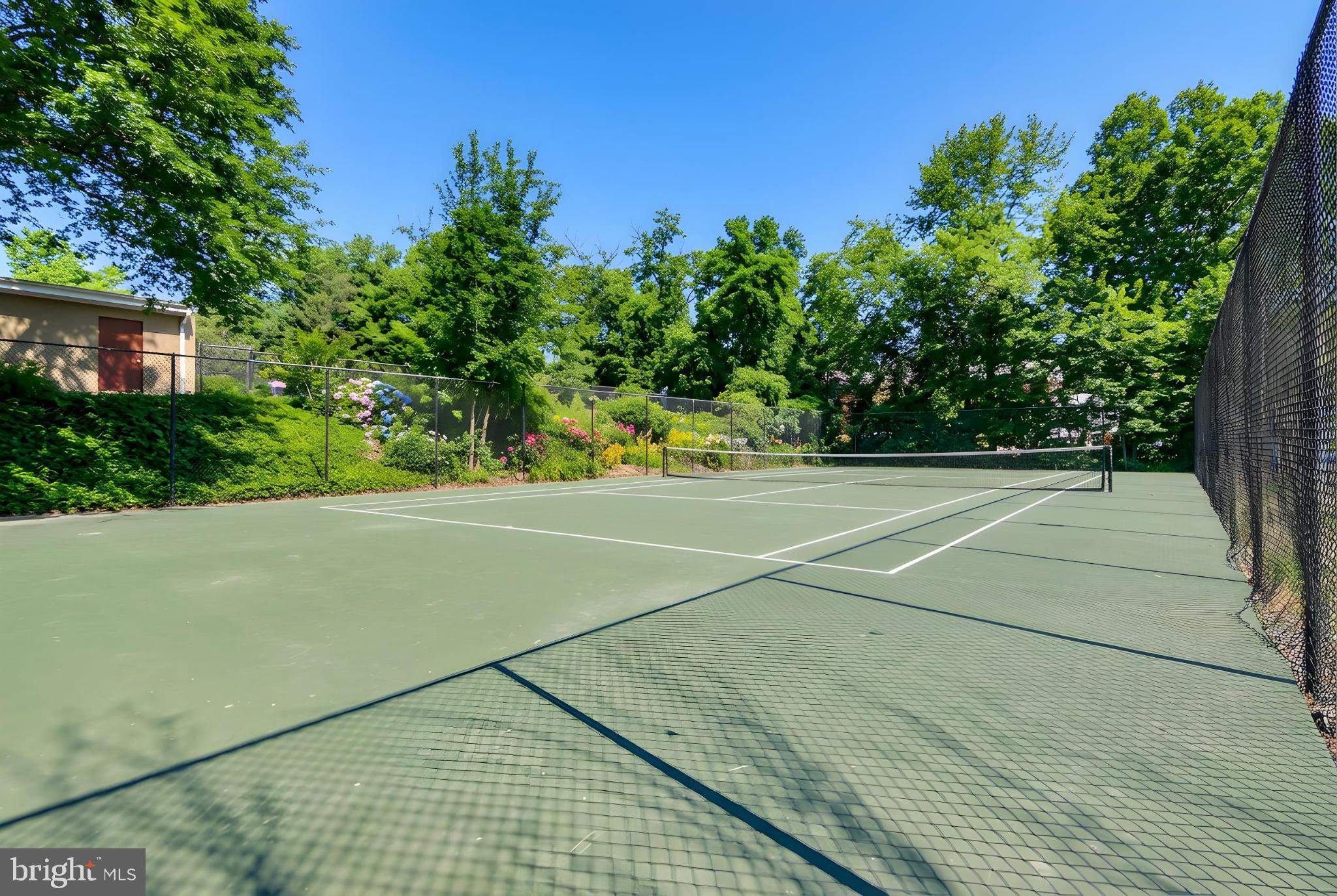 TAKOMA PARK - Residential