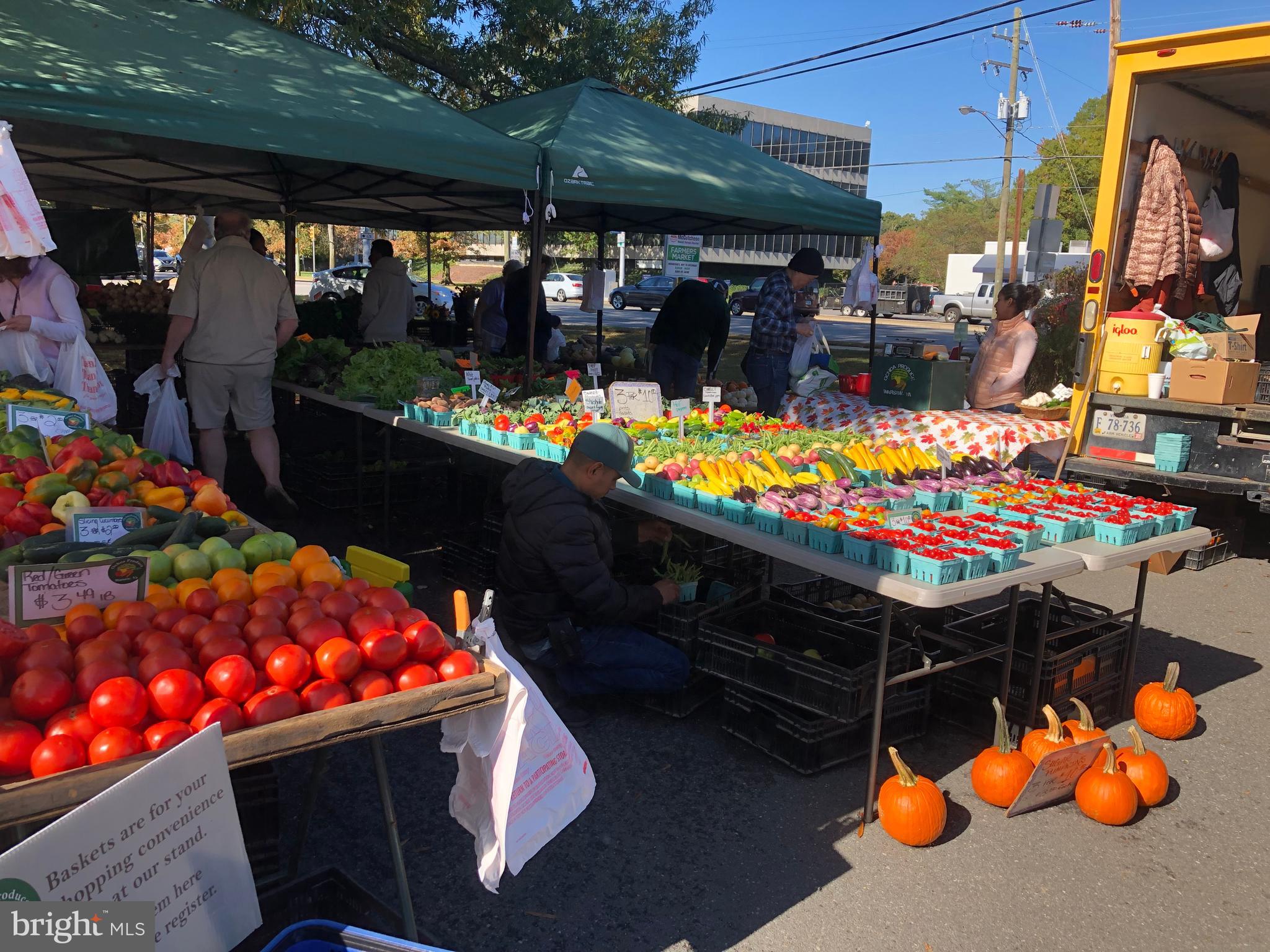 HOLLIN BROOK PARK - Residential