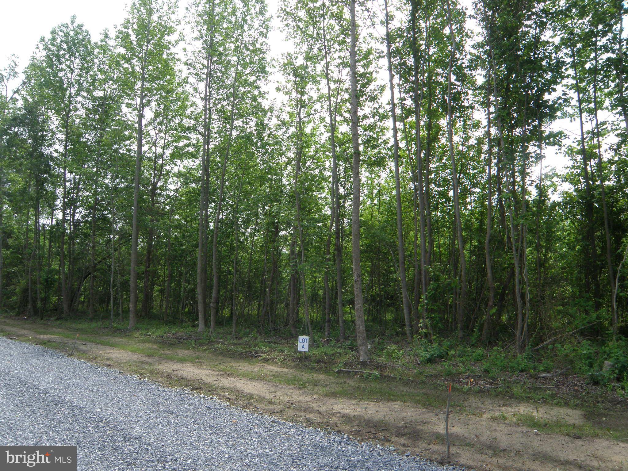 Lot A SHORTLY RD