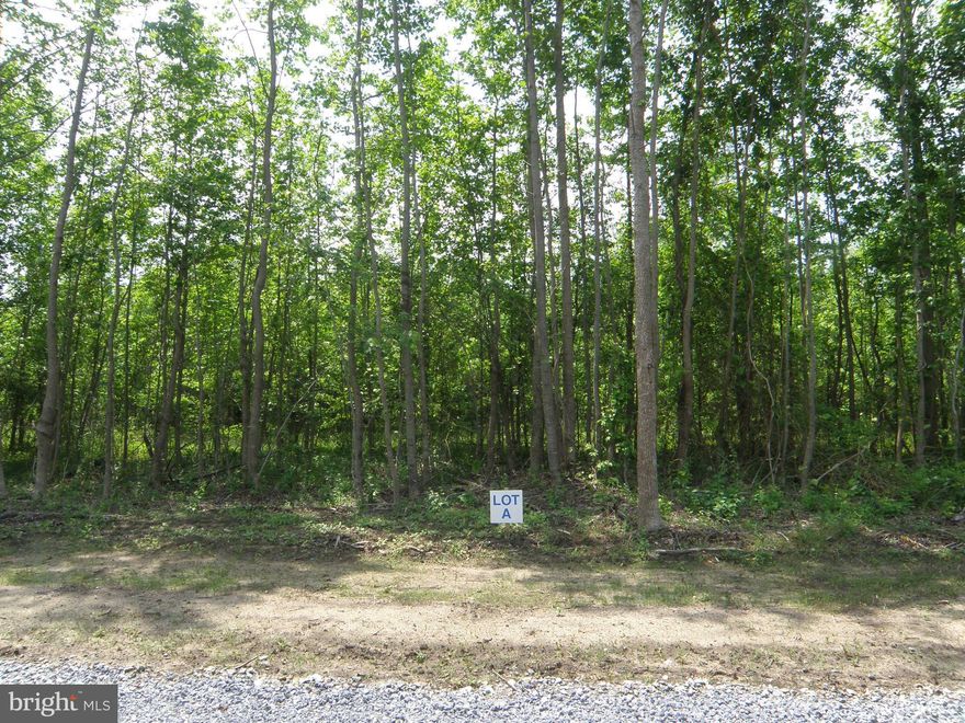 "A quiet acre off Shortly Road, ready whenever you are."
Some lots check boxes. This one hands you a blank page. Set on a gently wooded 1.18-acre parcel along Shortly Road in Georgetown, Lot A comes with something increasingly hard to find in Sussex County: real freedom. No builder tie-in means you bring your own plans and your own contractor — whether that's a craftsman ranch, a modern farmhouse, or something entirely your own. The hard work of permitting is already underway: a DNREC-approved site evaluation is on file for an elevated sand mound system, so your builder can move forward without the waiting game. The tree canopy gives natural privacy while leaving you plenty of room to site a home, detached garage, or workshop. Delaware's low property taxes and no sales tax make this one of the most cost-effective states on the East Coast to put down roots — and Rehoboth Beach is just minutes away when you're ready to trade the trees for the shore.