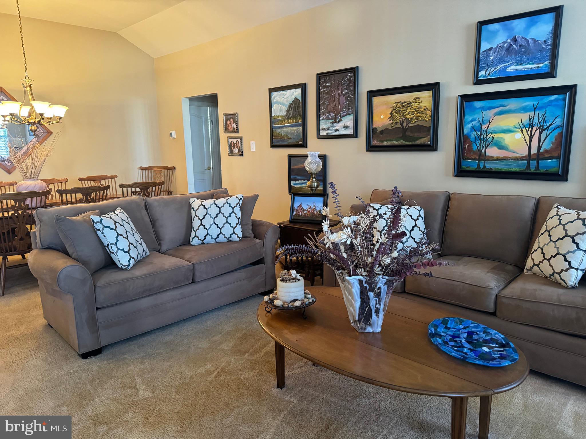 VILLAGES AT HILLVIEW - Residential