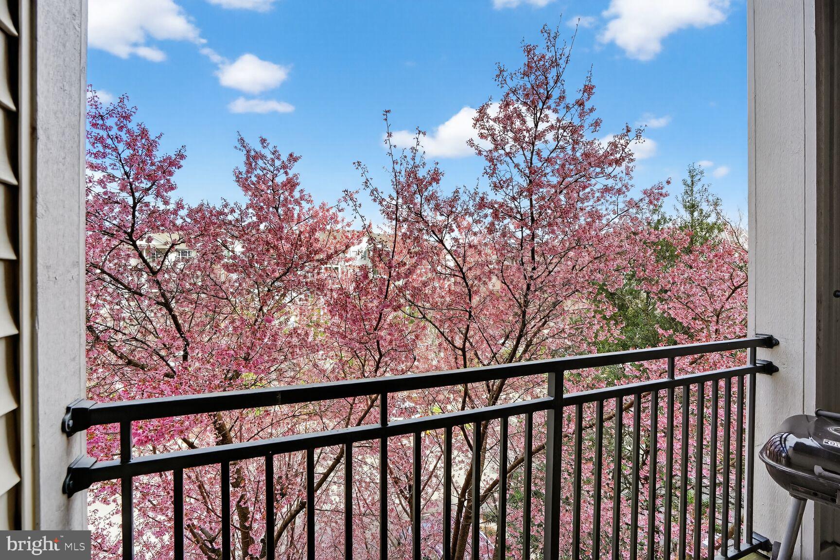 LEGATO CORNER - Residential