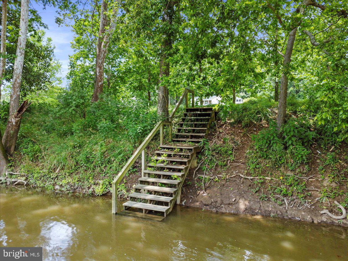 TULIP HILL - Residential