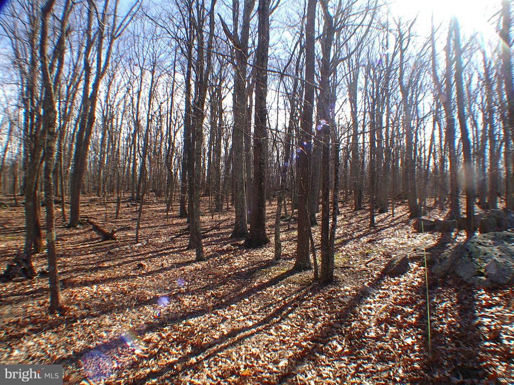 RITTERS HIDDEN VALLEY - Residential