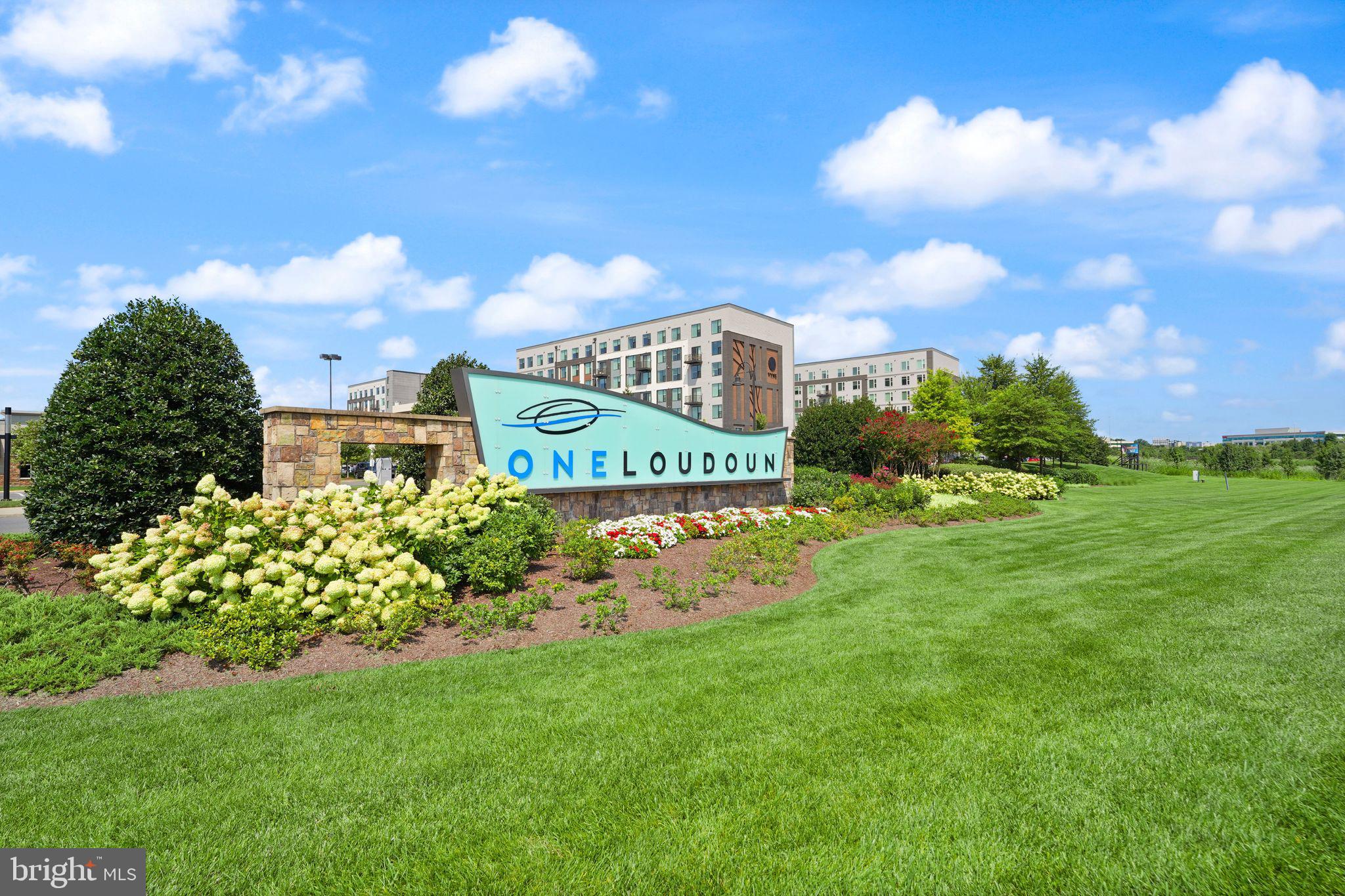 ONE LOUDOUN - Residential