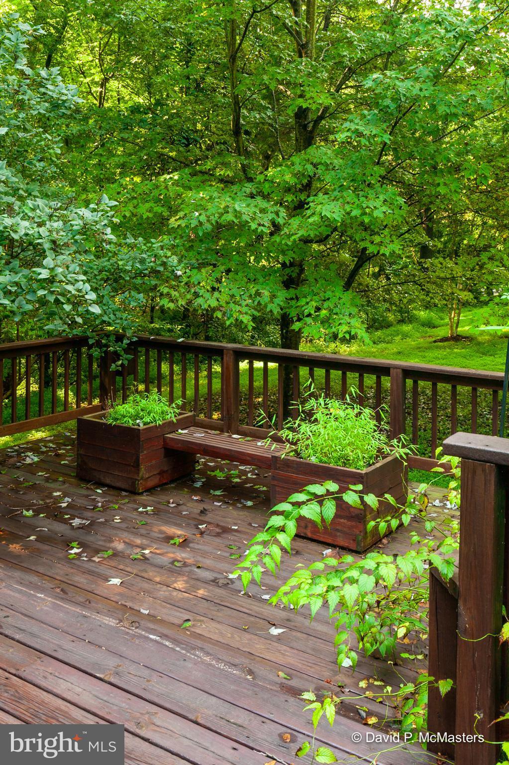 OAKLEIGH - Residential