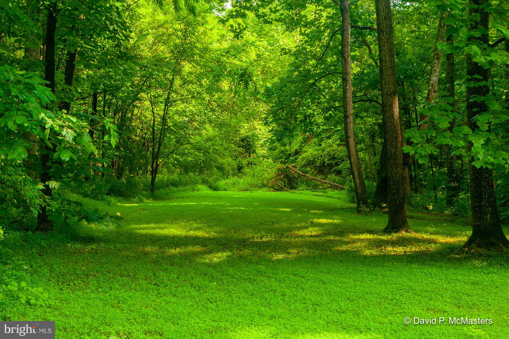 OAKLEIGH - Residential