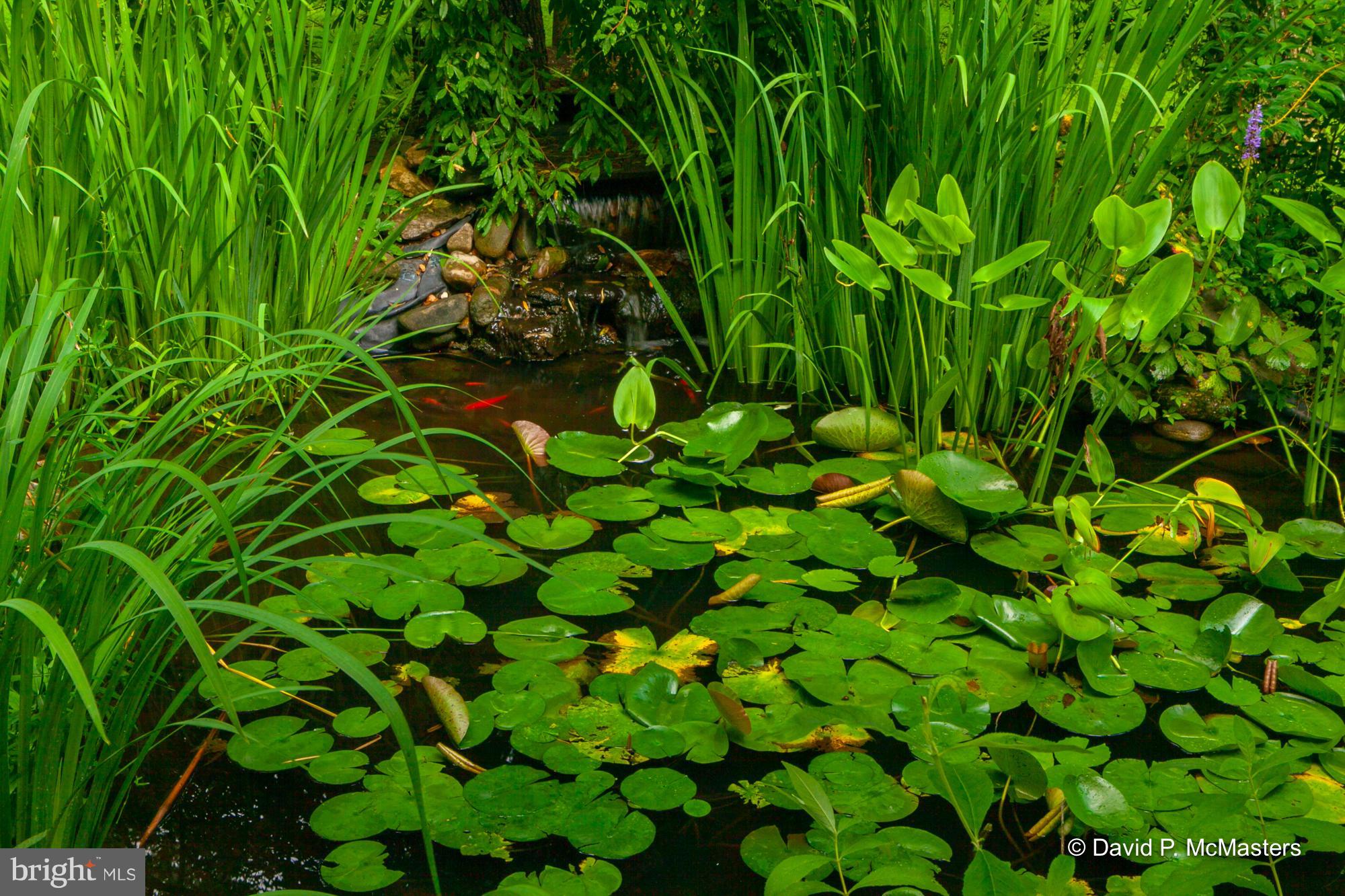OAKLEIGH - Residential