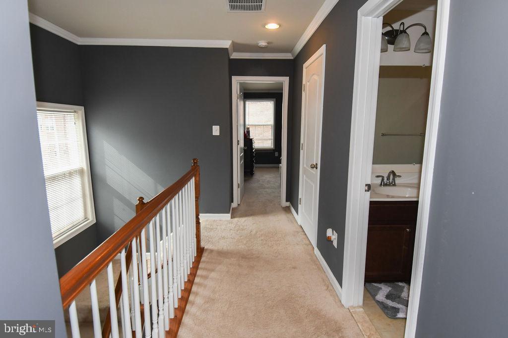 CHELSEA MANOR - Residential Lease