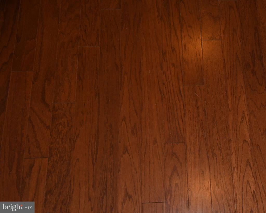 CHELSEA MANOR - Residential Lease