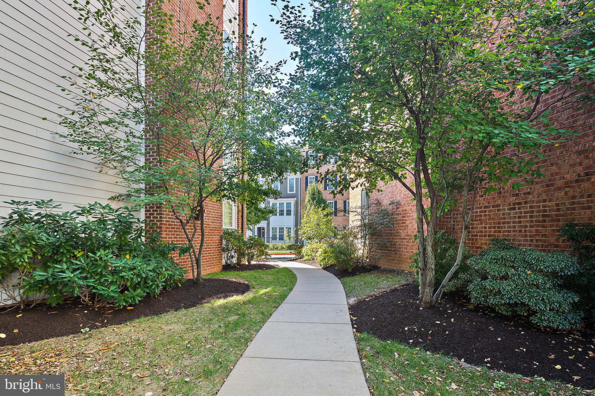 MAPLE LAWN - Residential