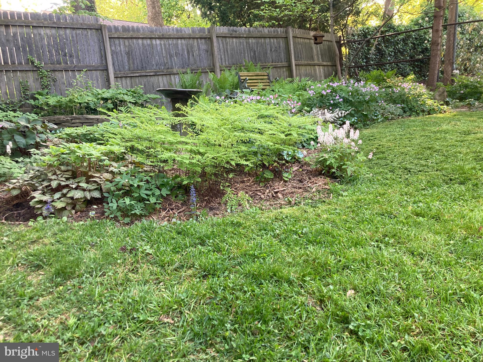 MT AIRY (WEST) - Residential