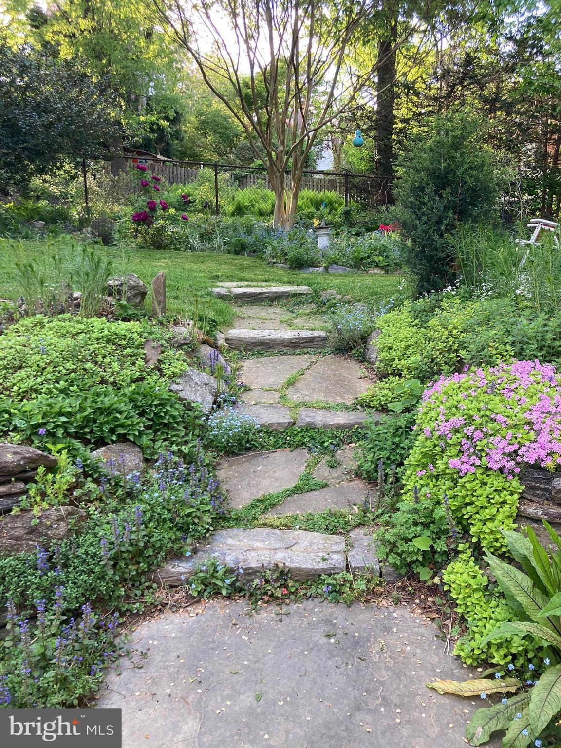 MT AIRY (WEST) - Residential