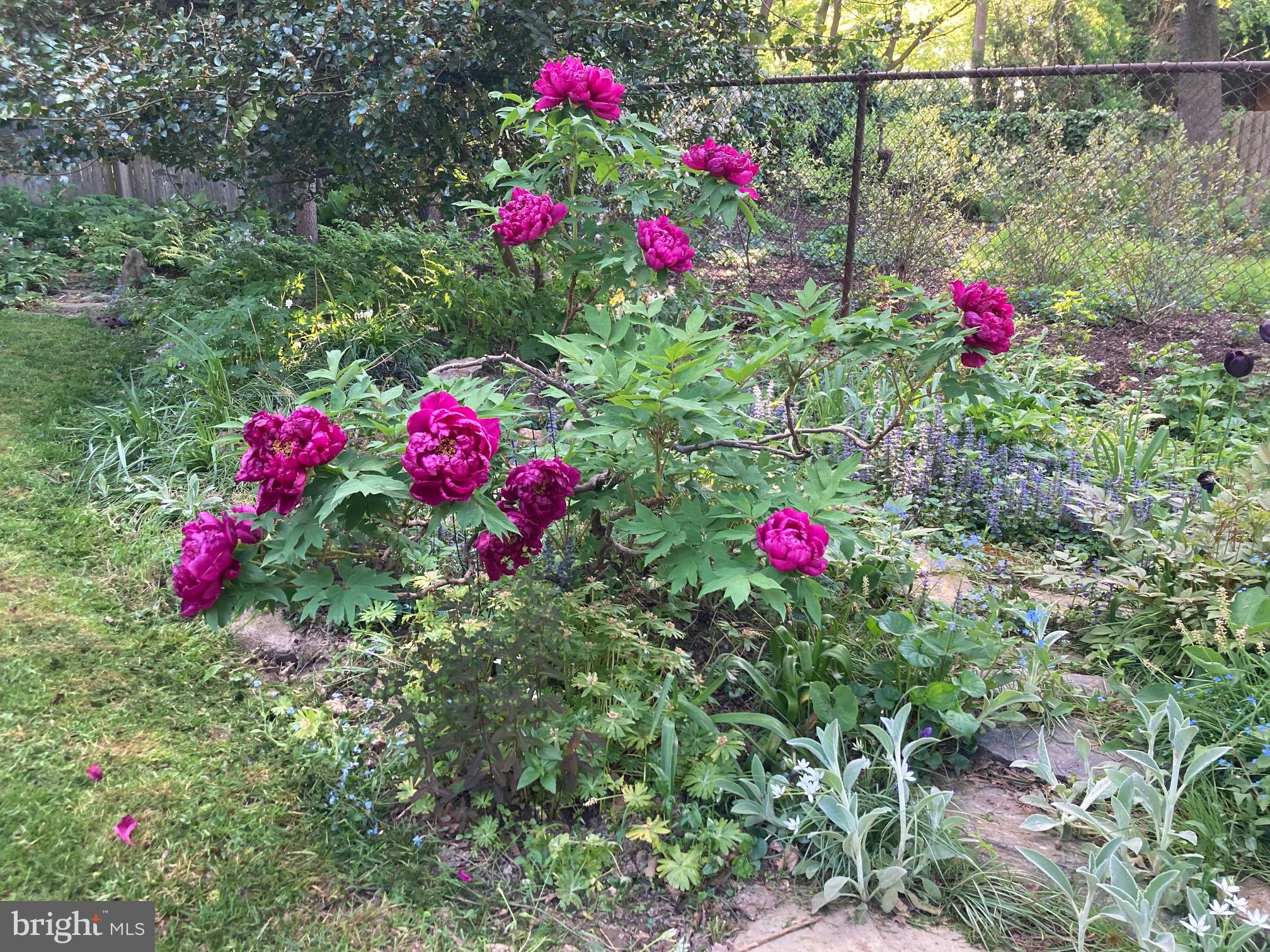 MT AIRY (WEST) - Residential