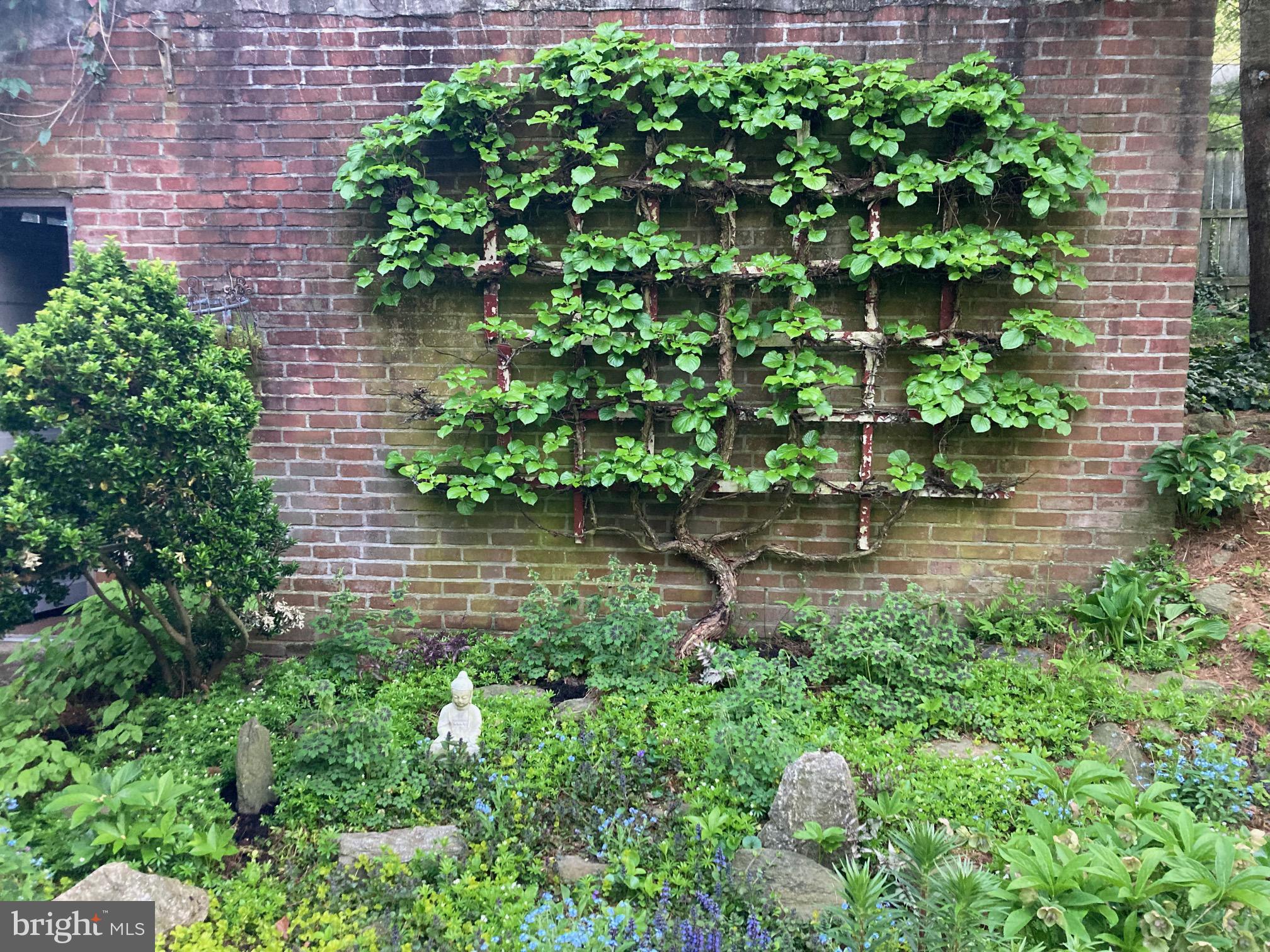 MT AIRY (WEST) - Residential