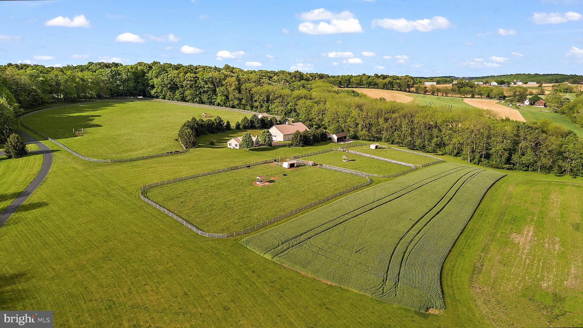 NONE AVAILABLE - Farm
