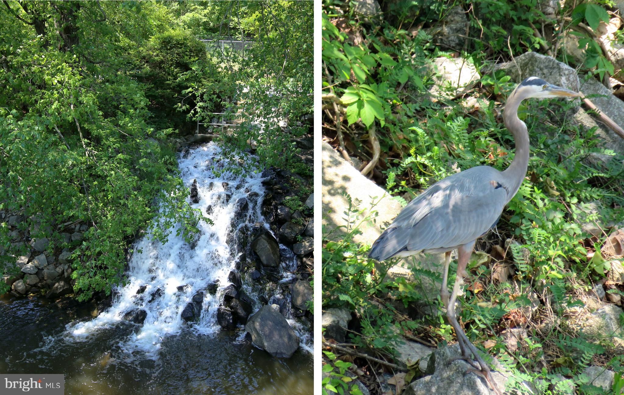 OCCOQUAN HEIGHTS - Residential Lease