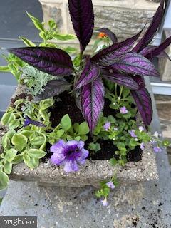 MT AIRY (EAST) - Residential