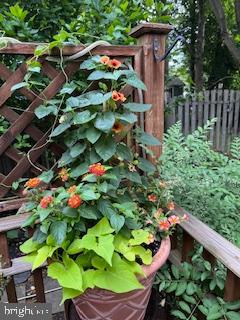 MT AIRY (EAST) - Residential