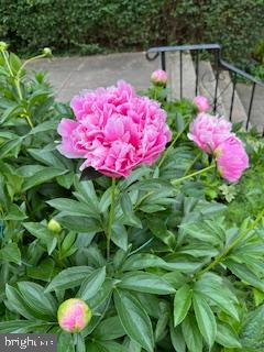 MT AIRY (EAST) - Residential