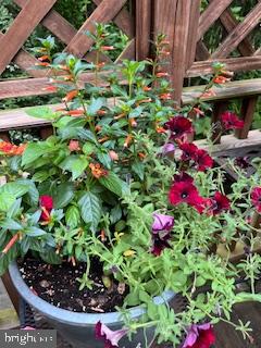 MT AIRY (EAST) - Residential