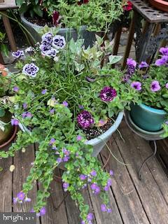 MT AIRY (EAST) - Residential