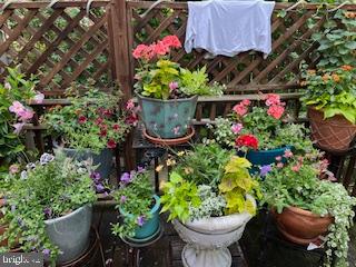 MT AIRY (EAST) - Residential