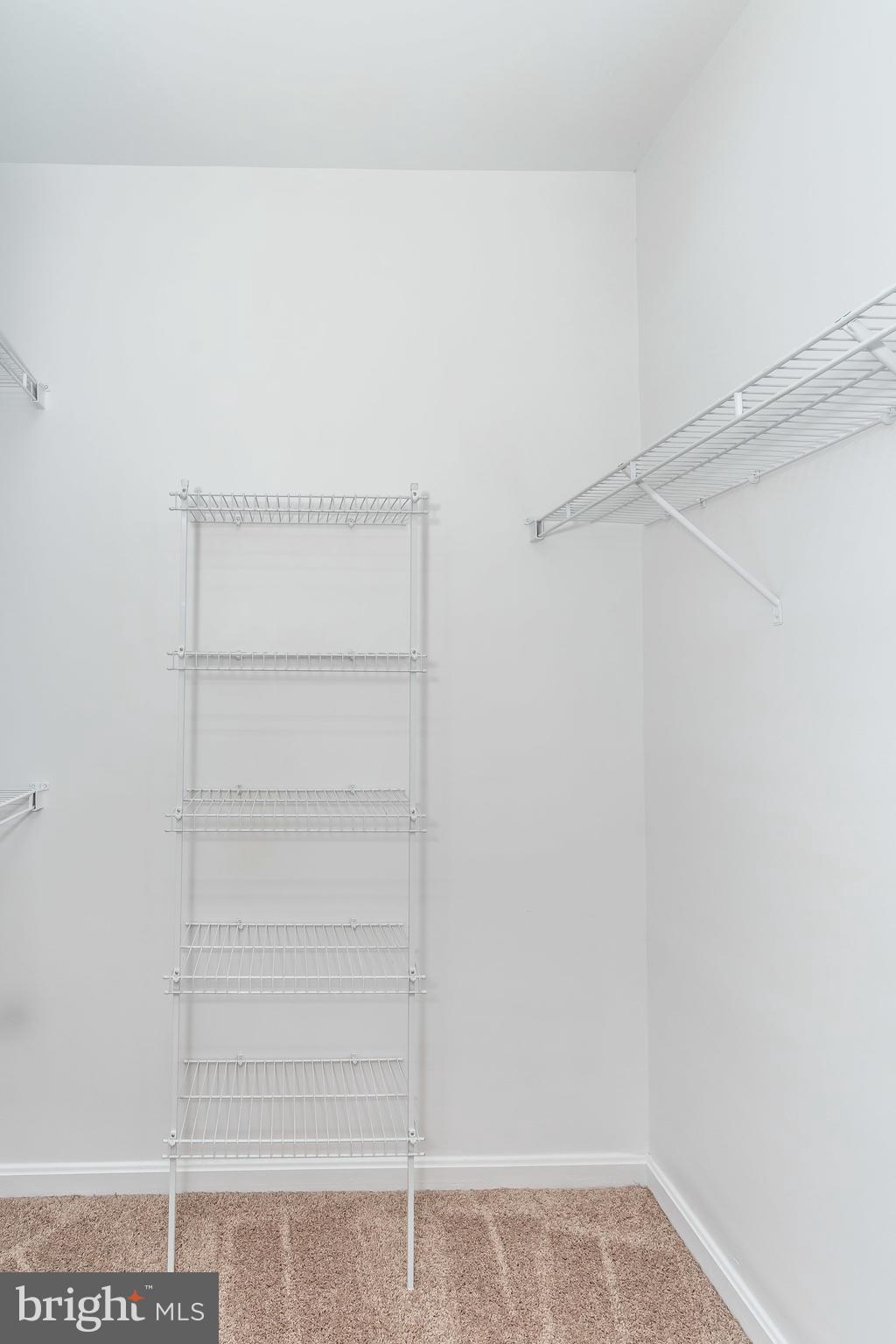 ALBEMARLE SQUARE - Residential Lease