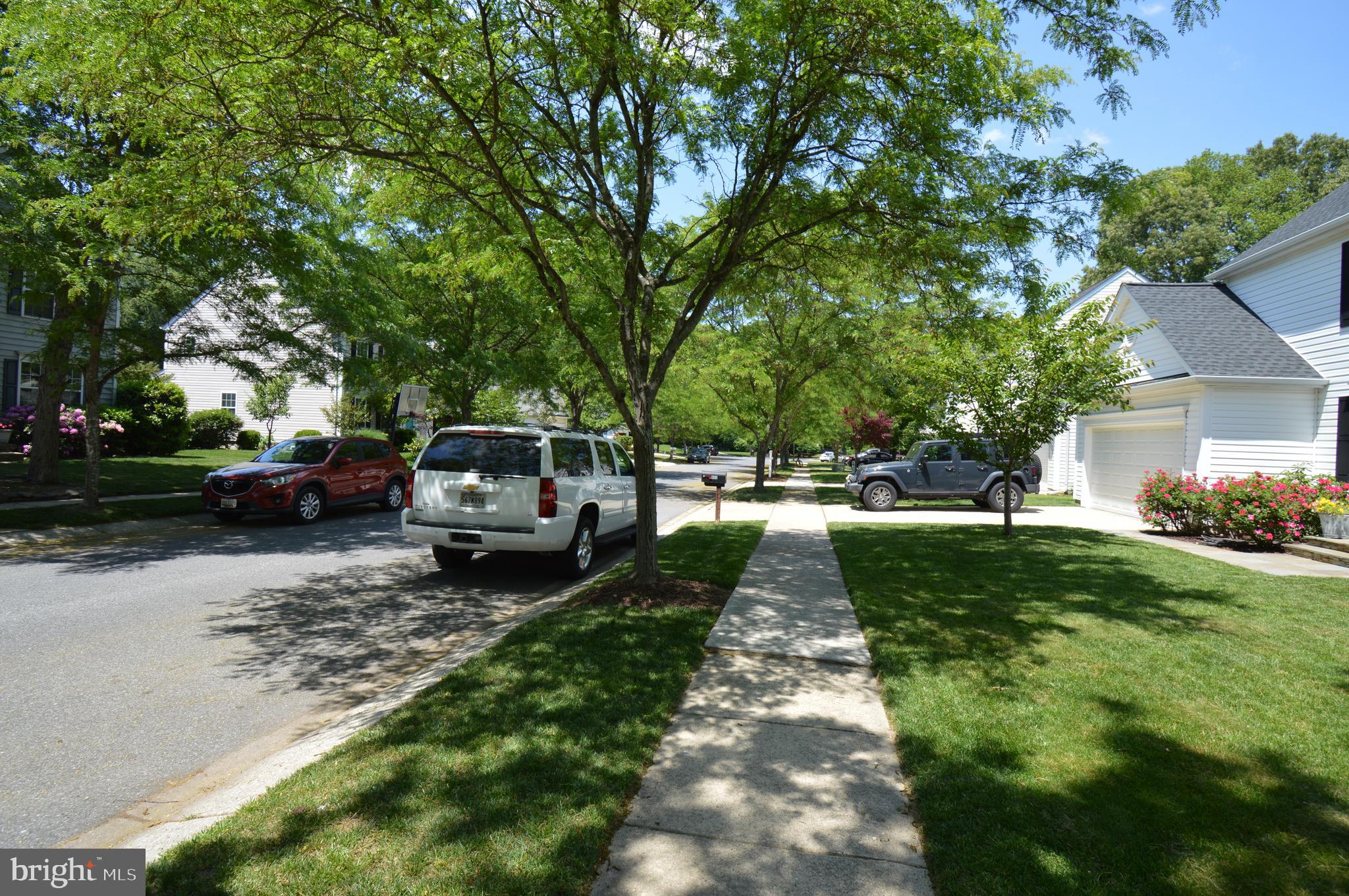 ROBINSON PLACE - Residential