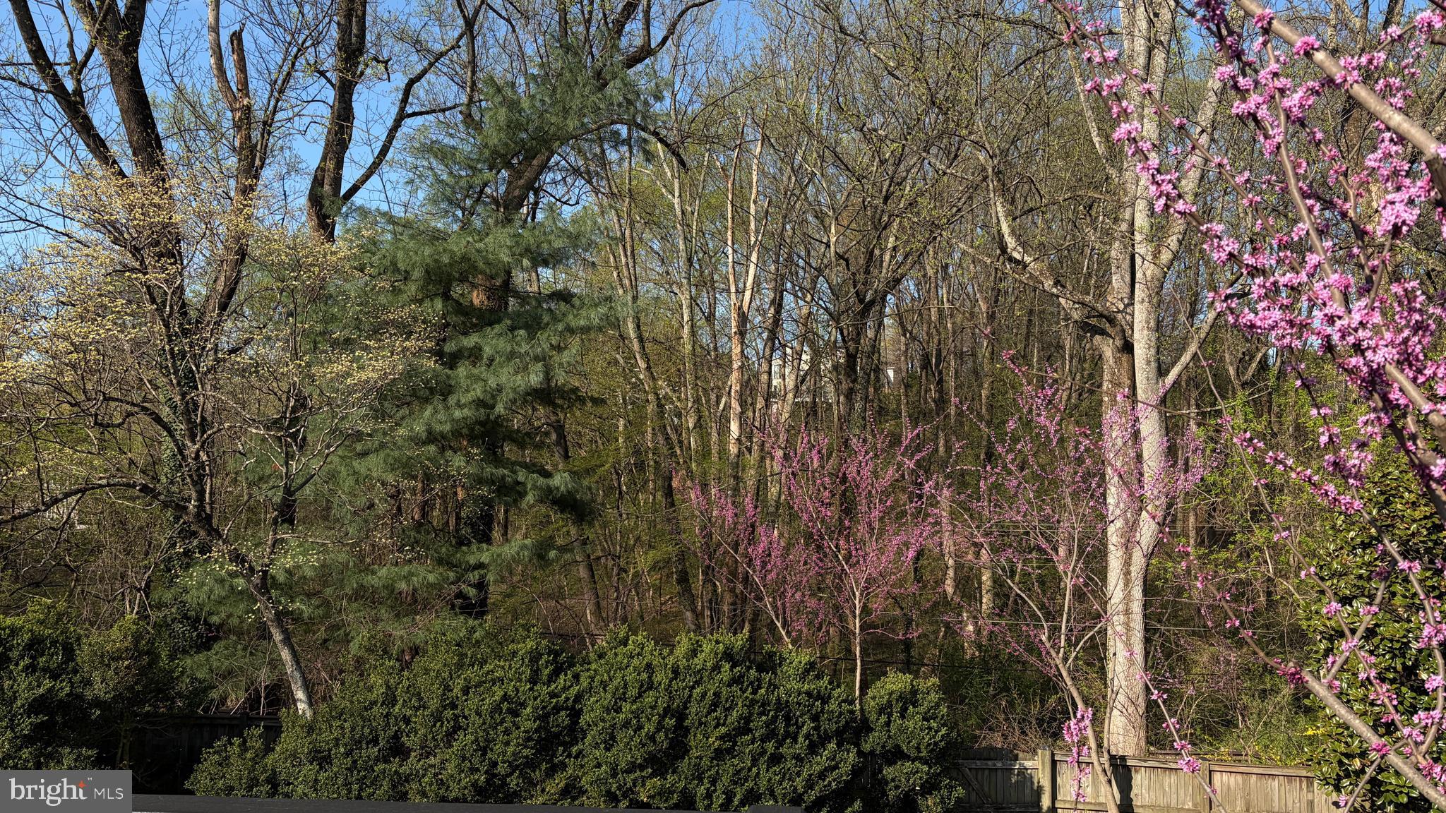 POTOMAC HILLS - Residential