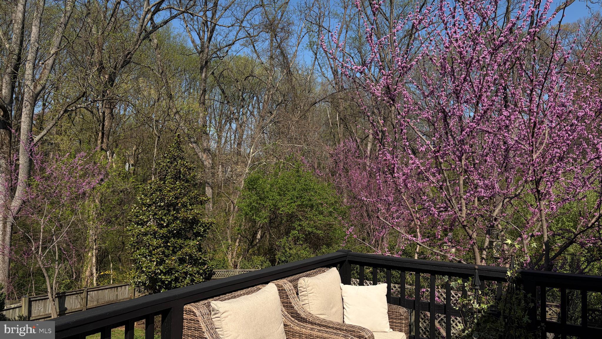 POTOMAC HILLS - Residential