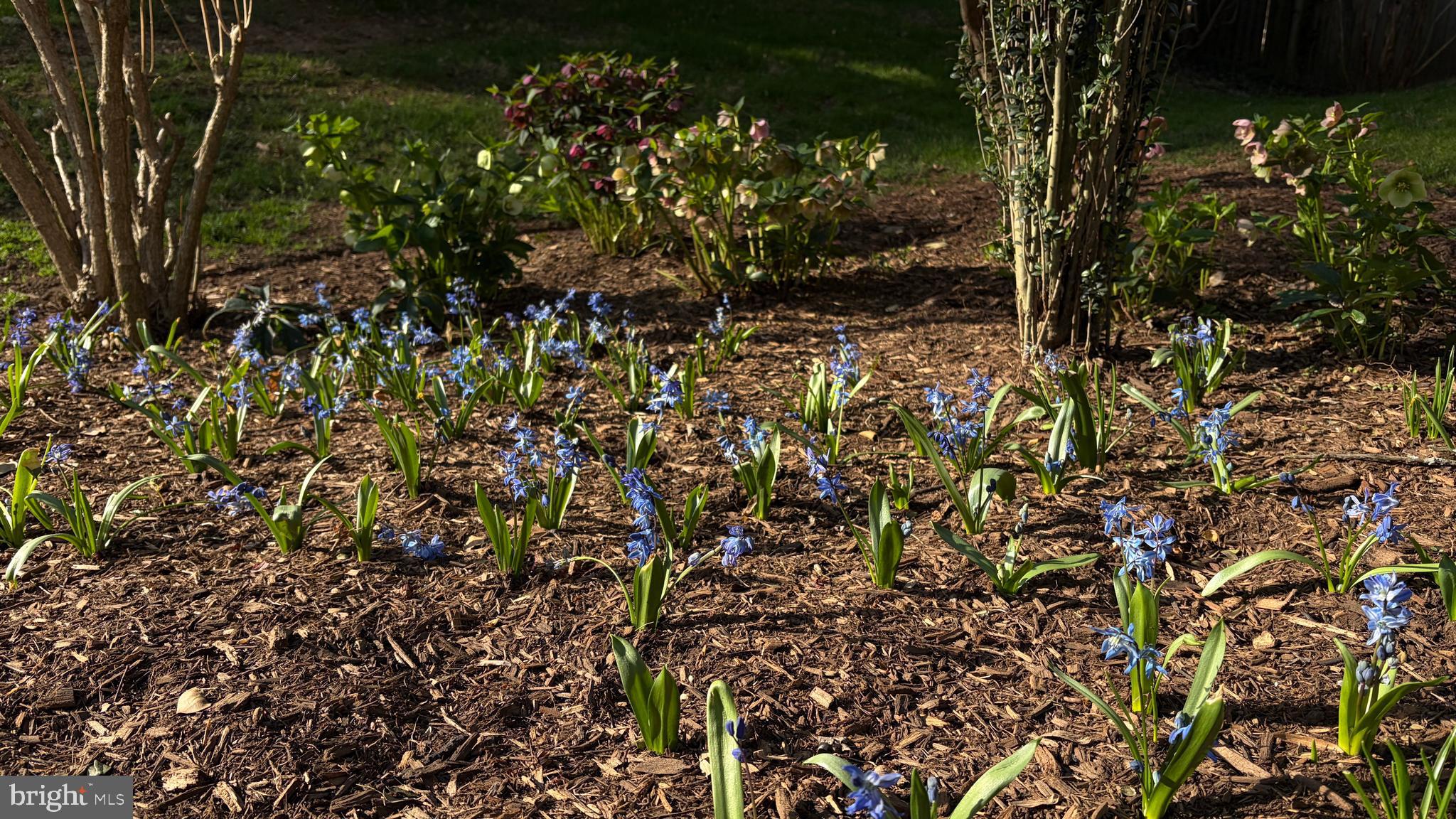 POTOMAC HILLS - Residential