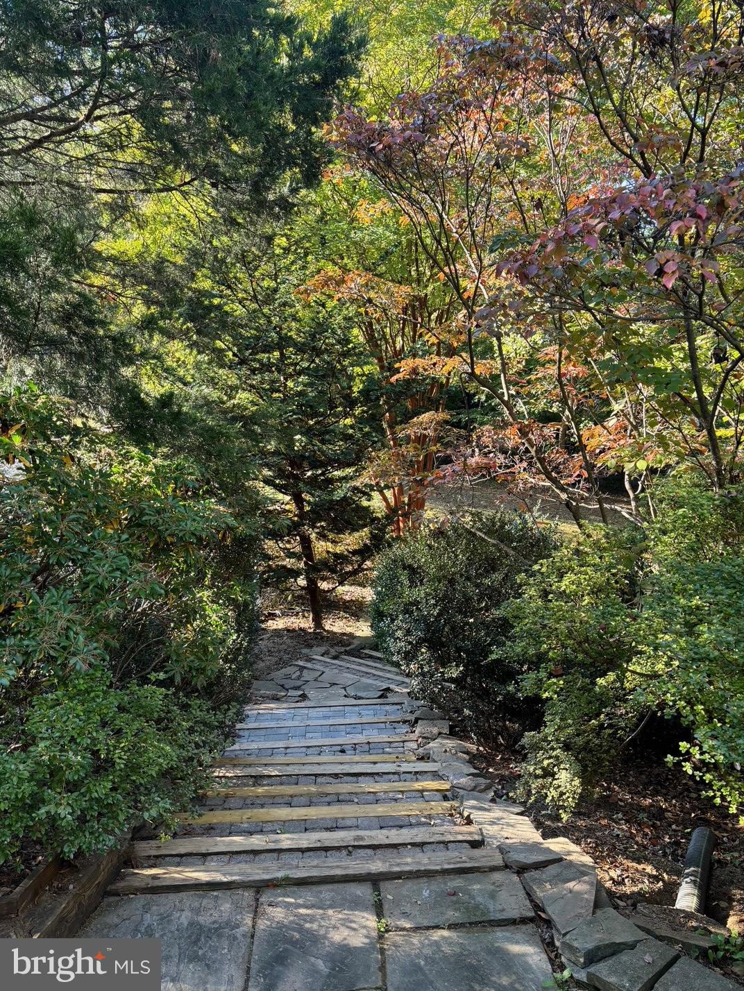 BELLEVUE FOREST - Residential