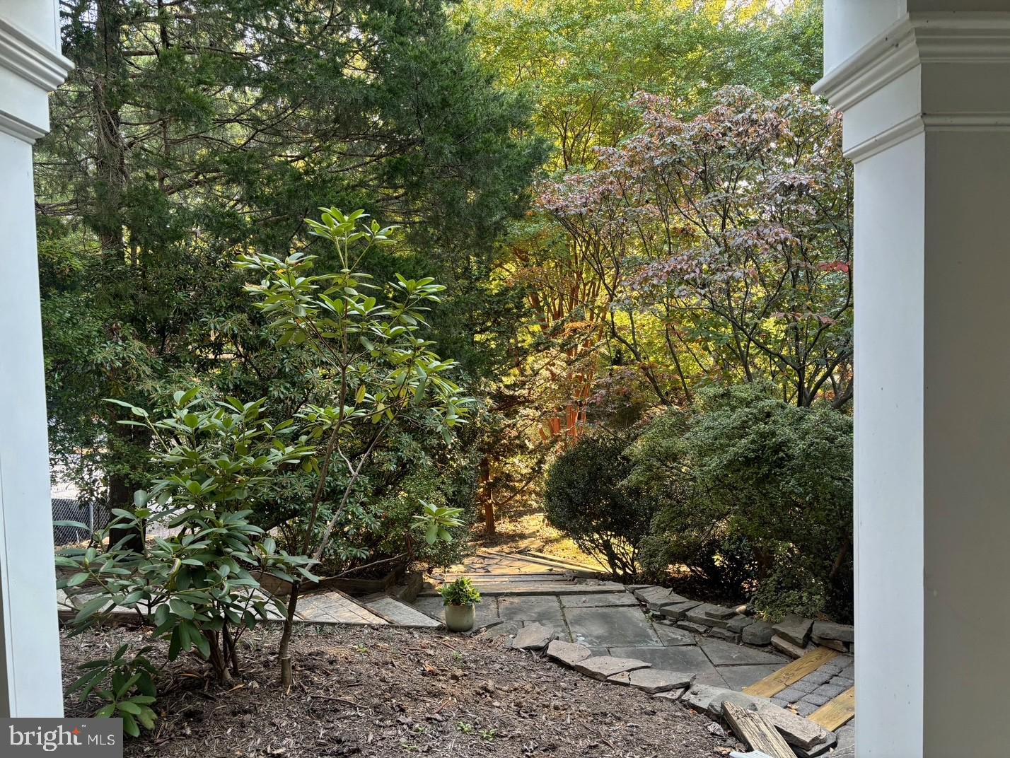 BELLEVUE FOREST - Residential