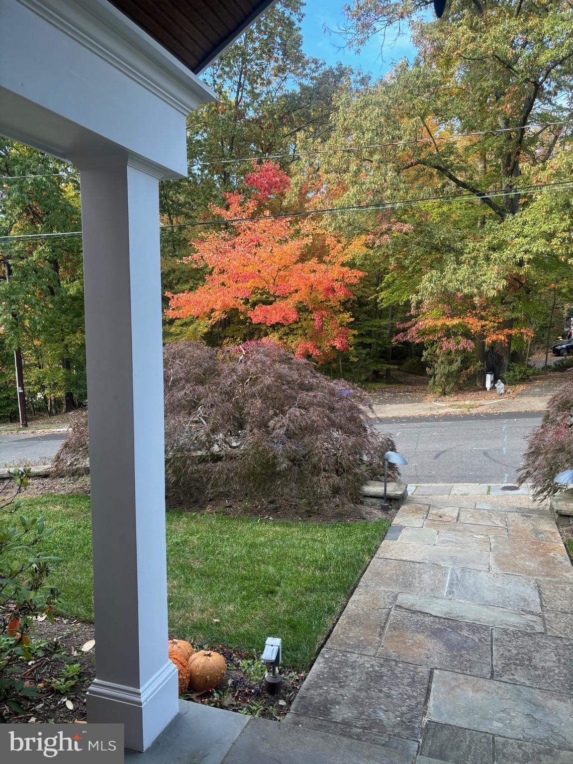 BELLEVUE FOREST - Residential