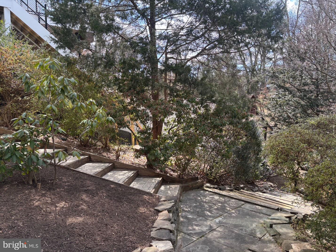 BELLEVUE FOREST - Residential