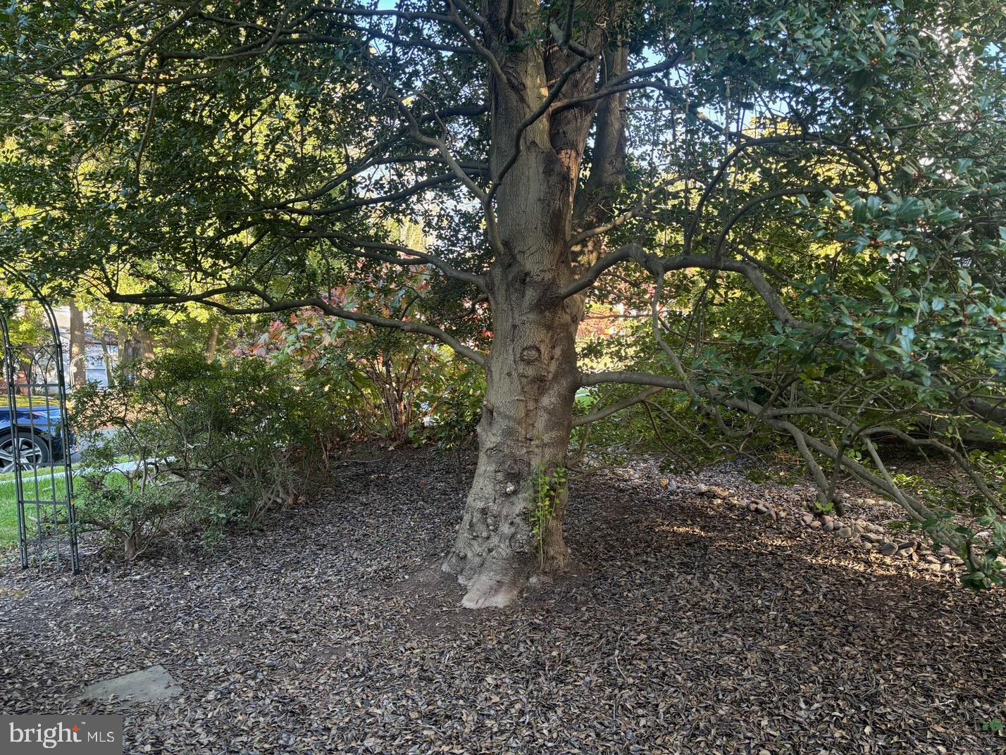 BELLEVUE FOREST - Residential