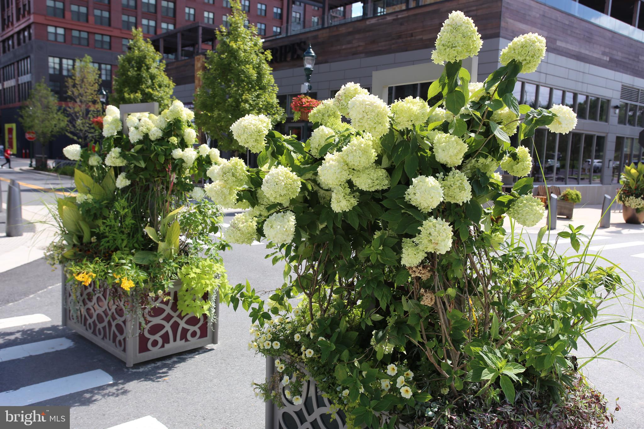 EDSON PARK - Residential