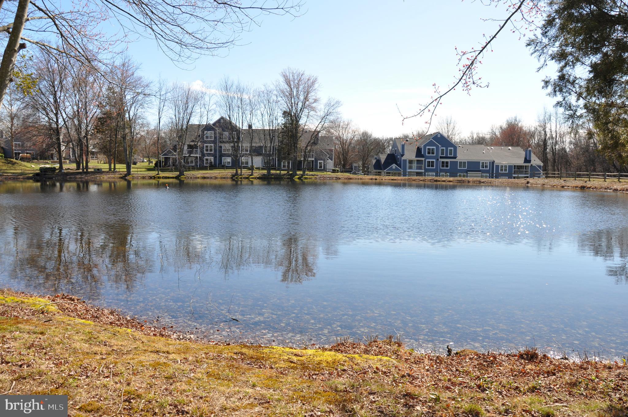 PONDS AT CENTREVILLE - Residential