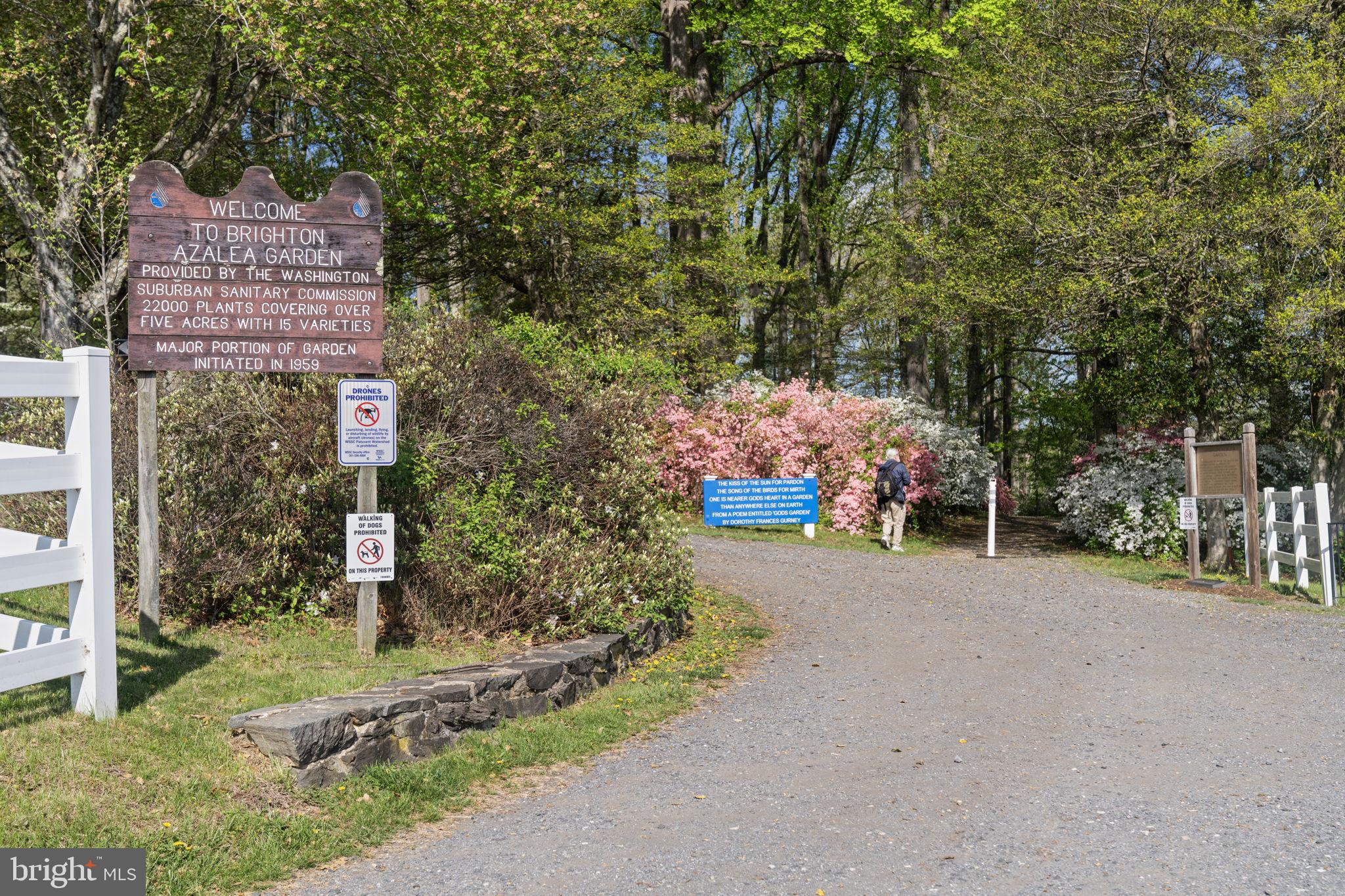 WILLIAMSBURG VILLAGE - Residential