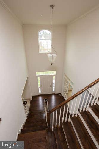 PATRIOTS GLEN - Residential