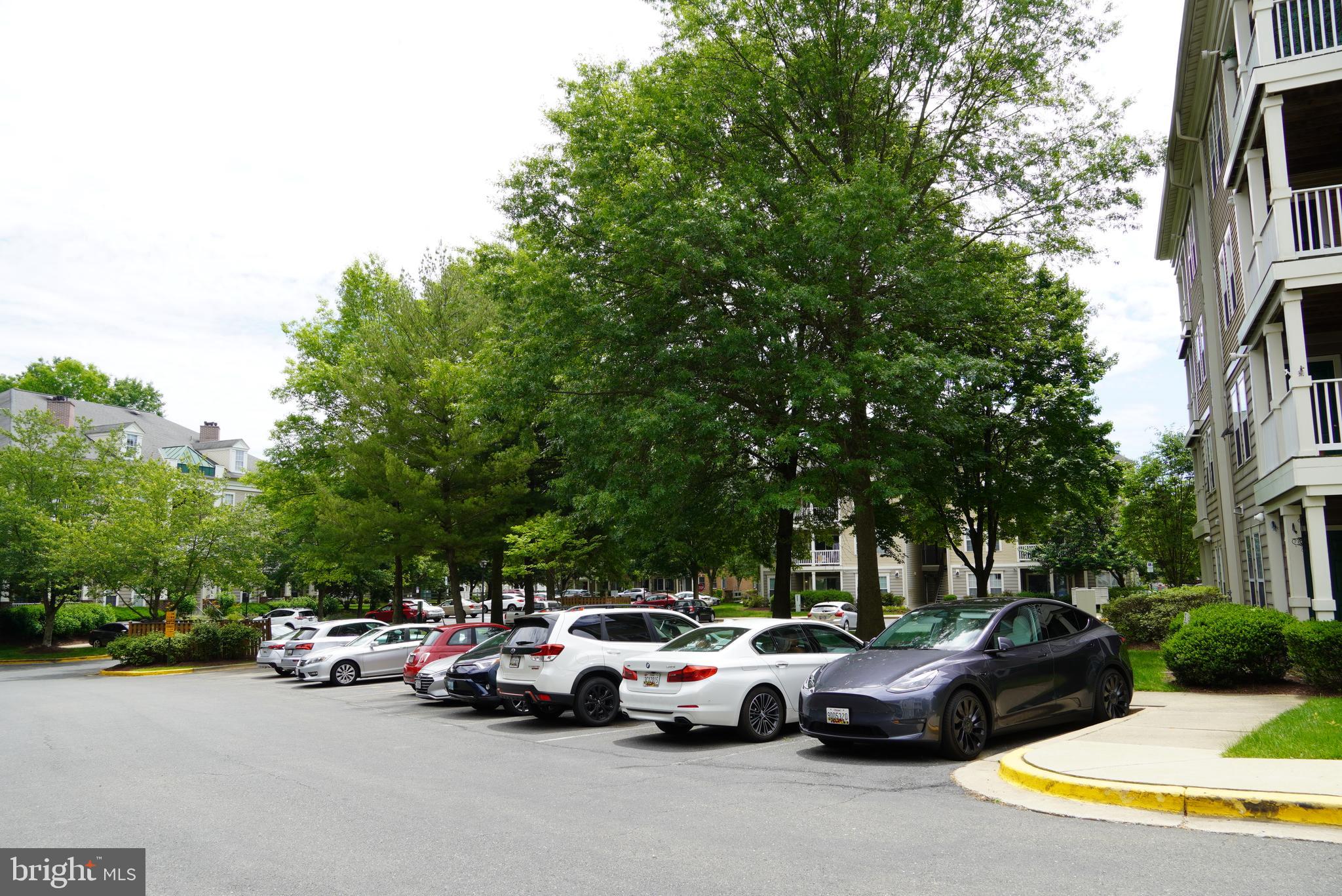 RIVERSTONE - Residential Lease