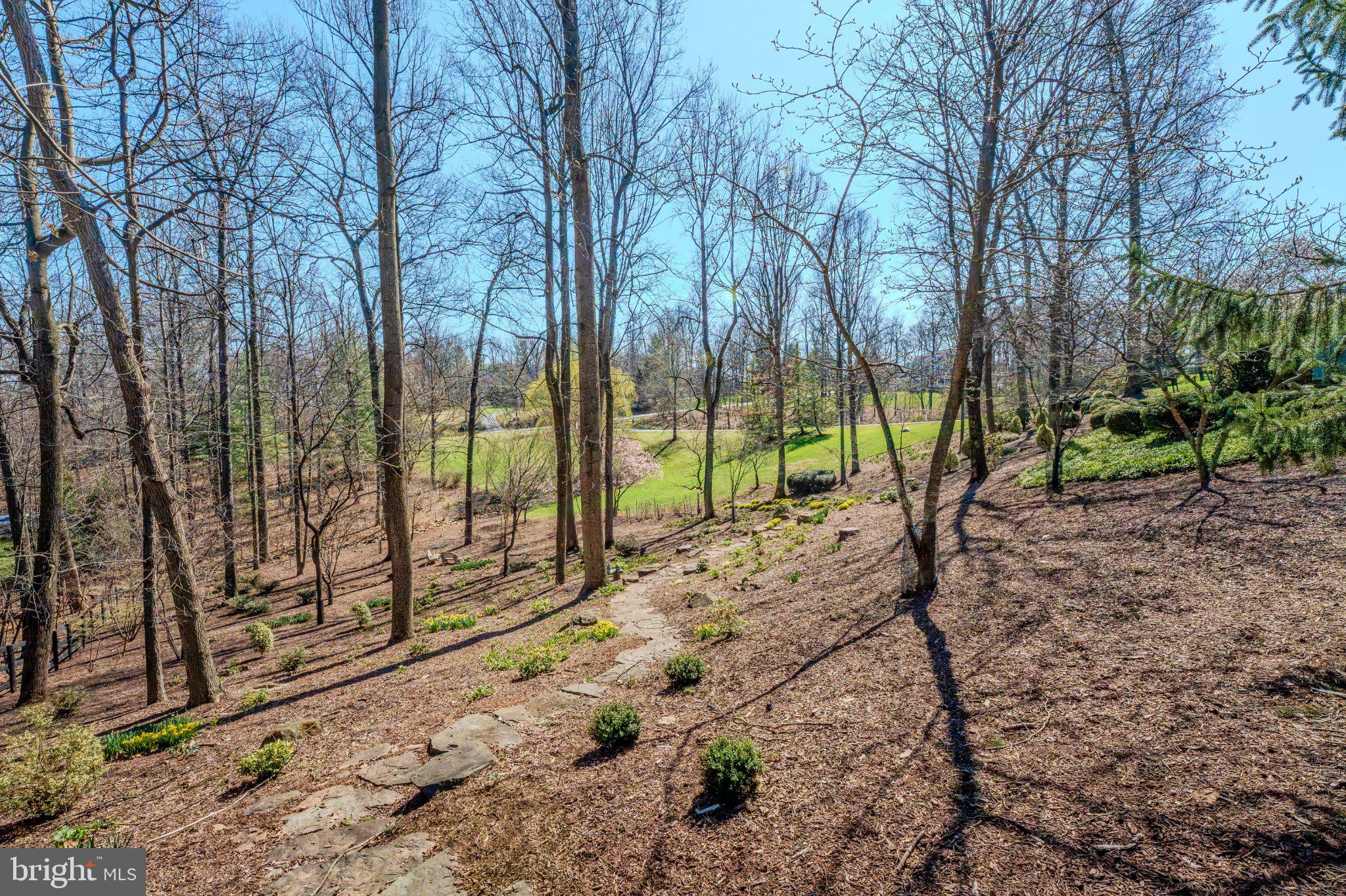 BEACON HILL - Residential