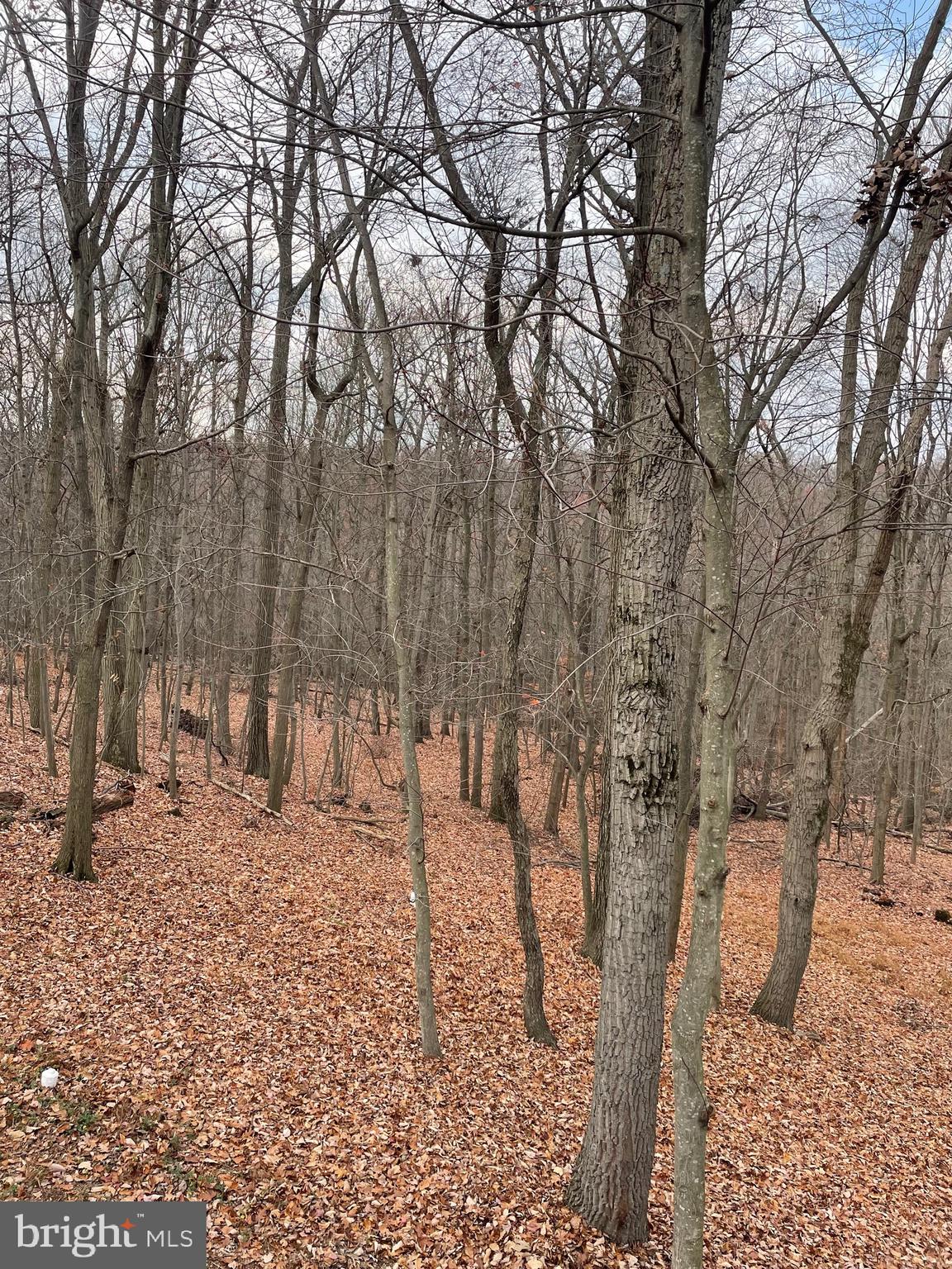 SHARONS RIDGE - Residential