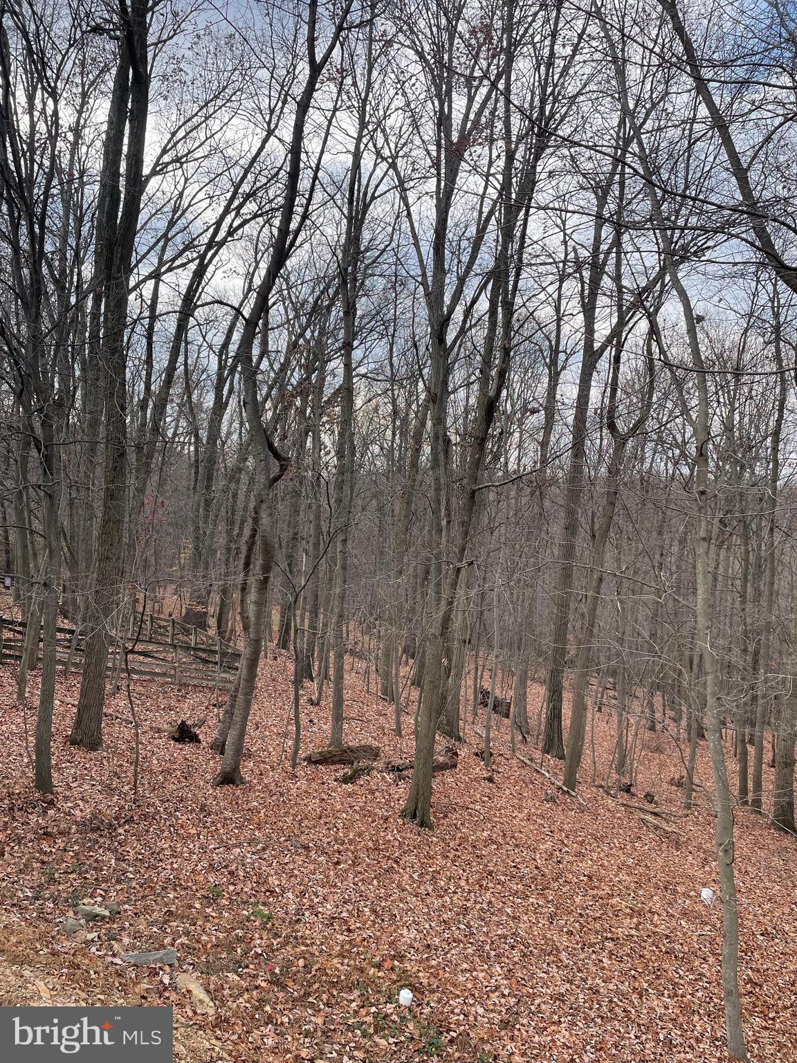 SHARONS RIDGE - Residential