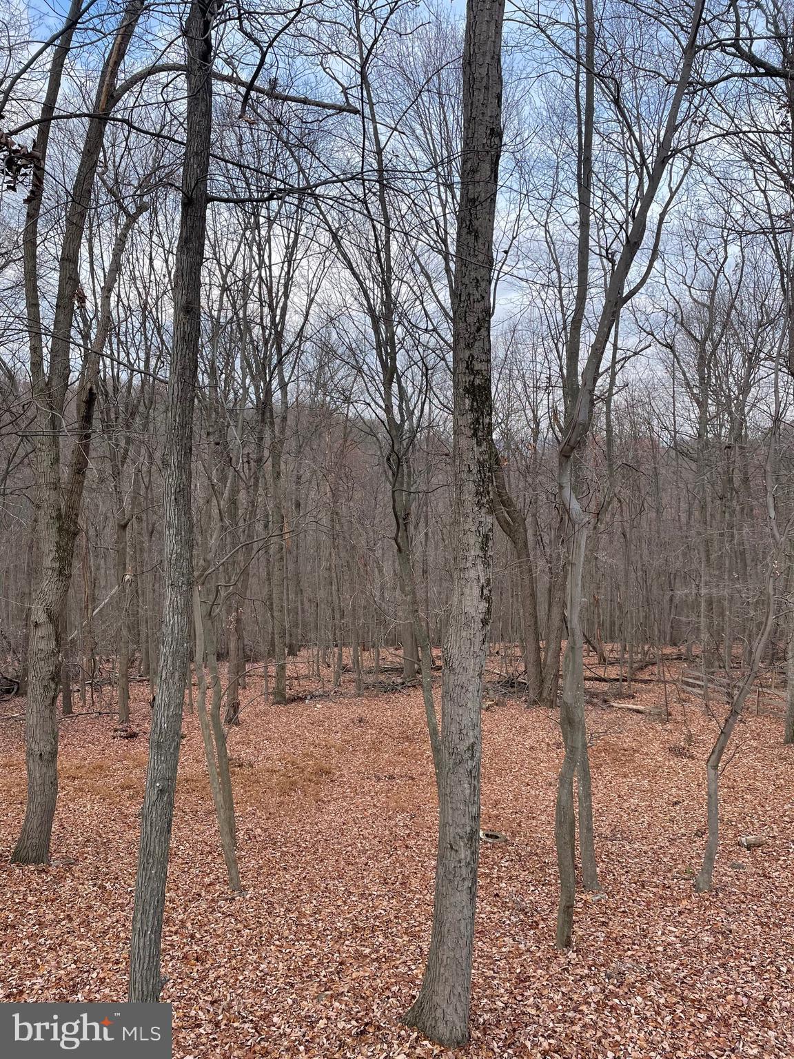 SHARONS RIDGE - Residential