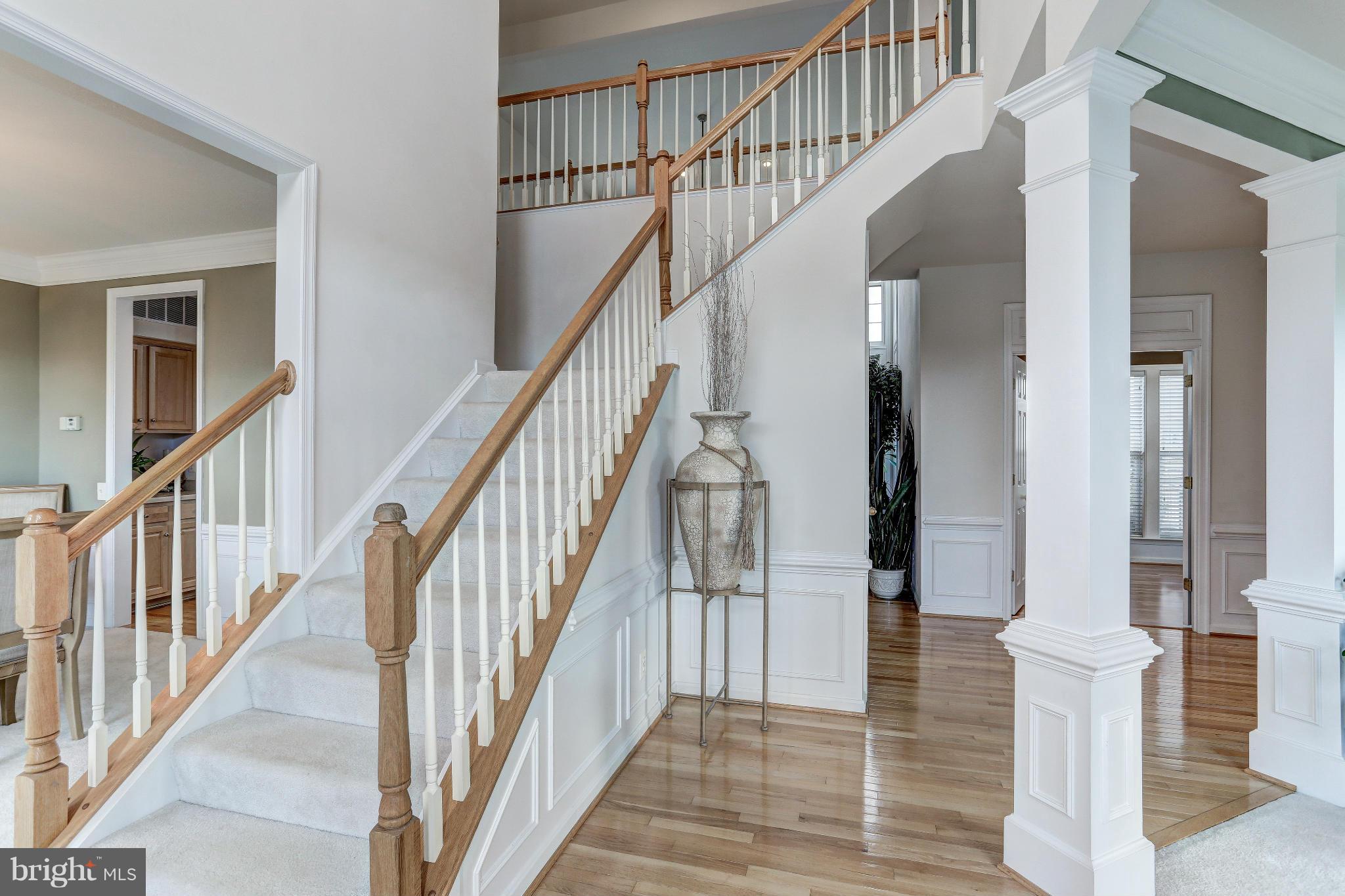 THE RIDINGS AT BLUE SPRING - Residential