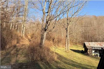 Lot 5, 34.53 Acres LICK CREEK
