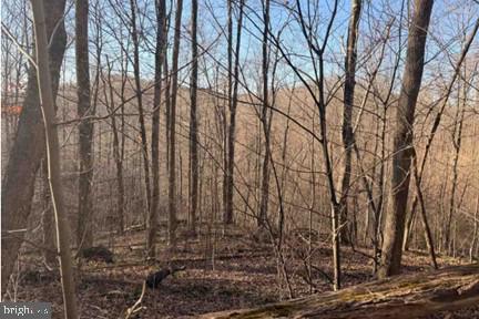 Lot 5, 34.53 Acres LICK CREEK